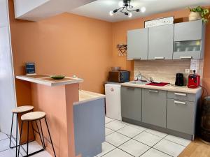 eine Küche mit einer Spüle und einer Arbeitsplatte in der Unterkunft L'appart & Beaujolaise à l Arbresle in Éveux
