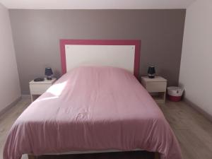 a bedroom with a pink bed with two night stands at Appartement Le Romarin in Mallemort
