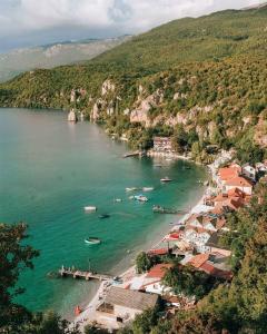 an aerial view of a beach with boats in the water at Edelweiss Villa Trpejca in Ohrid
