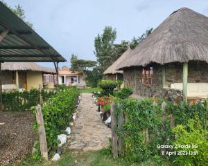Le Tai Village Homestay外面的花园