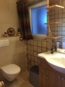 baño con aseo y lavabo y ventana en Double room with a kitchenette in a beautiful surrounding, en Sautens