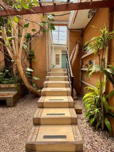 a set of stairs in a courtyard with plants at Hostel Gaudys in San José