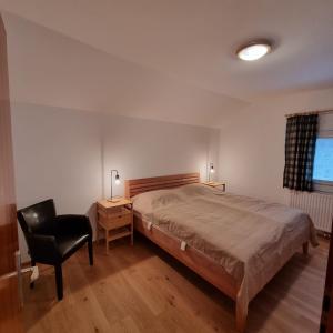 グルントルゼーにあるLadner am Seeのベッドルーム1室(ベッド1台、デスク、椅子付)