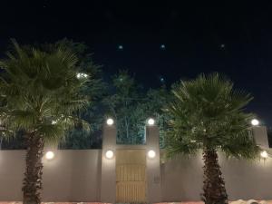two palm trees in front of a building at night at northmead lodge in Benoni