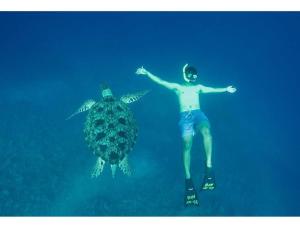 a man swimming next to a turtle in the water at Dawn Light Villa, Sire in Tanjung