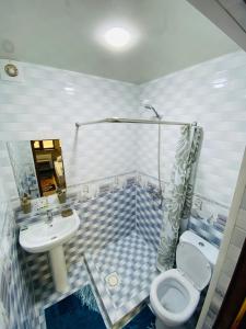 a bathroom with a toilet and a sink at HAVAS Guest House in Bukhara