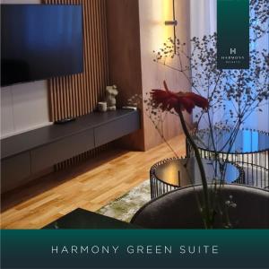 TV a/nebo společenská místnost v ubytování Harmony Apartmani Arandjelovac