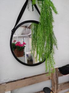 uno specchio appeso a un muro con una pianta di La Casetta a Palermo