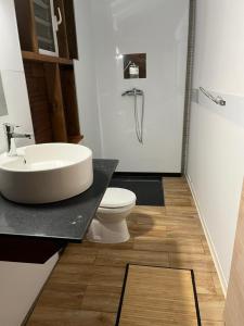 La salle de bains est pourvue d'un lavabo et de toilettes. dans l'établissement Nature et quiétude, à Le Moule