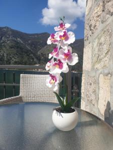 a white vase with a flower on a table at Savić Apartments in Kotor