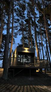 una casa en el árbol en medio de un bosque en Little Amber en Bernāti