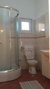 a bathroom with a toilet and a shower and a sink at Apartment Sevid in Sevid