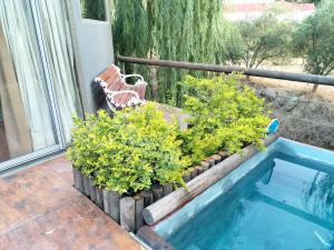 eine Terrasse mit einer Bank und Pflanzen neben einem Pool in der Unterkunft Glamping at The Well in Franschhoek in Franschhoek