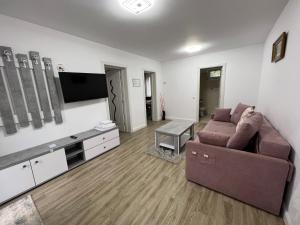 uma sala de estar com um sofá e uma televisão de ecrã plano em ROV em Suceava