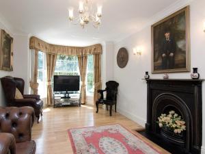 a living room with a fireplace and a television at Copper Beech Cottage in Henfynyw Upper