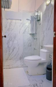 a bathroom with a shower and a toilet and a sink at Aquamare Beach Camp Resort in Siquijor