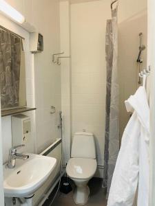 a bathroom with a white toilet and a sink at Voionmaa Voionmajoitus in Ylöjärvi