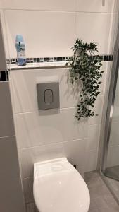 a bathroom with a toilet and a plant on the wall at AA Apartment in Ventspils