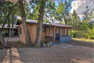 a small house with trees in front of it at Hidden Rest Cabins and Resort in Lake of the Woods