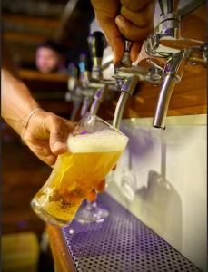 a person pouring a drink into a glass at Hostel Alvear in Cordoba