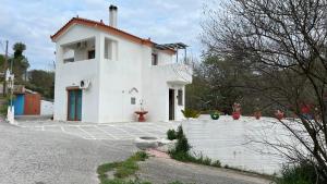 a white house with a driveway in front of it at Kanalis Houses in Avlonárion