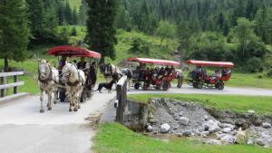 Gäste, die in der Unterkunft Am Ferienbauernhof Schmiedbauer com Salzkammergut übernachten