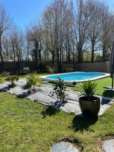 a swimming pool with plants in a yard at Cocooning chez Sabine in Lavilledieu