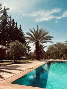 a swimming pool with a palm tree in the background at Kasbah des cyprès in Skoura