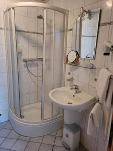W łazience znajduje się prysznic i umywalka. w obiekcie Landhotel Altmann w mieście Hörstel