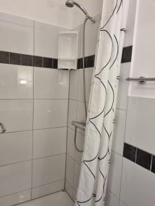 een douche met een douchegordijn in de badkamer bij Appartementen Vouwere in Mechelen