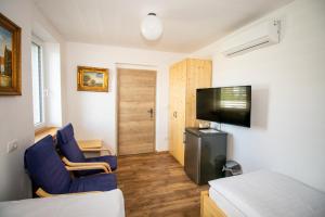 TV a/nebo společenská místnost v ubytování Vila Eva Lesce - Bled