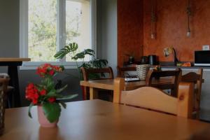 Posezení v ubytování B&B Gasper
