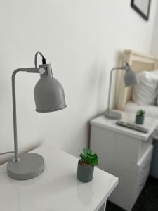 a desk with a lamp and a potted plant on it at Luxe Loft Living: A Home Away From Home in Wibsey