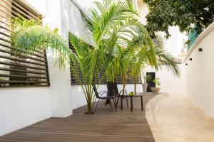 een binnenplaats met een stoel en palmbomen in een gebouw bij BOK21 - Hotel en Cancun in Cancun