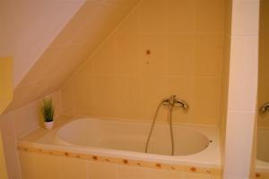 een badkamer met een bad met een plant erin bij Apartament Starówka in Tuchola