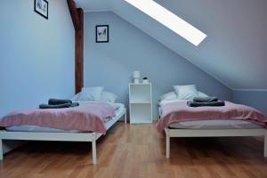 two beds in a room with a blue ceiling at Apartament Starówka in Tuchola