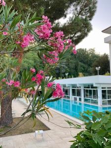 un albero con fiori rosa di fronte a un edificio di Hotel Terme Millepini a Montegrotto Terme