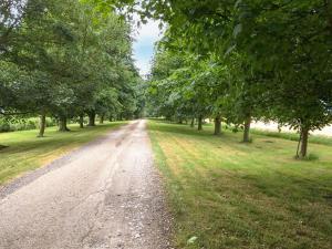 uma estrada de terra com árvores em cada lado em Heron em Welney