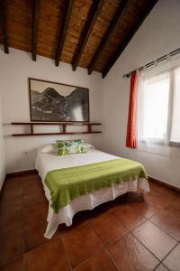 um quarto com uma cama com lençóis verdes e uma janela em Casa Rural Sofia em Hermigua