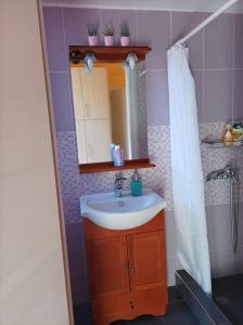 een badkamer met een wastafel en een spiegel bij Villa with spectacular view in Xylokastron