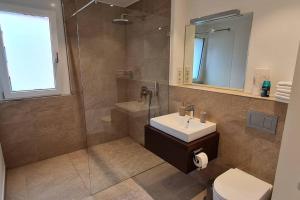 a bathroom with a shower and a sink and a toilet at Luxus Wohnung im Stadtzentrum in Nuremberg