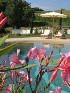 una piscina con flores rosas y una sombrilla en Burgunderhof - Steiermark, en Sankt Anna am Aigen