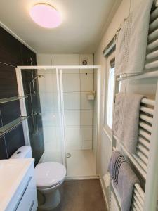 a small bathroom with a shower and a toilet at Sandy Feet Retreat in Petten