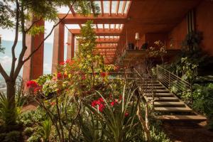 un jardín con flores y escaleras en un edificio en Arty loft with a rooftop pool in iconic building, en Ciudad de México