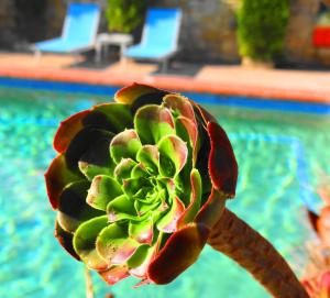 The swimming pool at or close to Hotel Aeollos