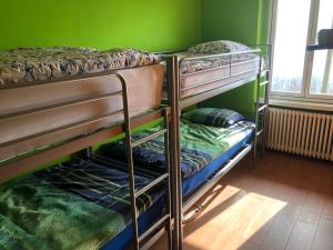 2 łóżka piętrowe w pokoju z zieloną ścianą w obiekcie Inspiration über dem See w mieście Locarno