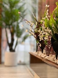 Hotel Sabera في سيليغري: مجموعة من النباتات على طاولة