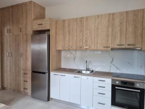 波羅斯的住宿－Chrysanthe's Apartments No1，厨房配有木制橱柜和不锈钢冰箱。