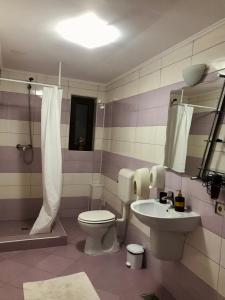 a bathroom with a toilet and a sink at Apartamente 9 - Naomi in Baile Felix
