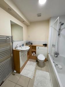 een badkamer met een wastafel, een toilet en een douche bij Edinburgh Apartment BR in Edinburgh